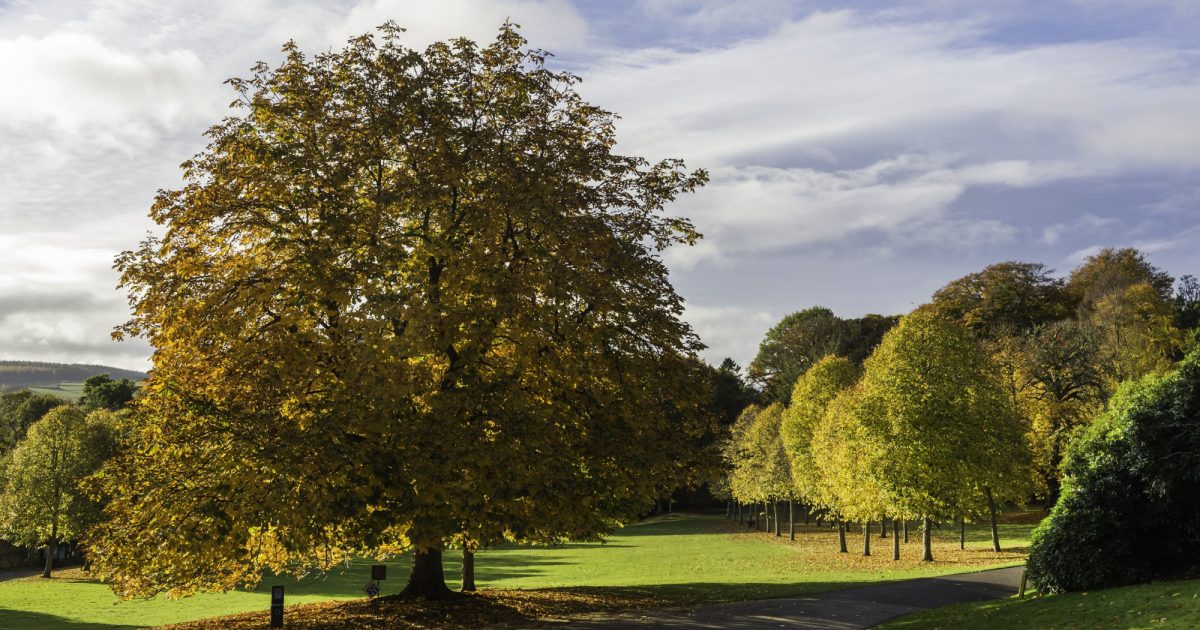 OpenGraph Image for Aberdeenshire Council renews its partnerships with nature conservation organisations