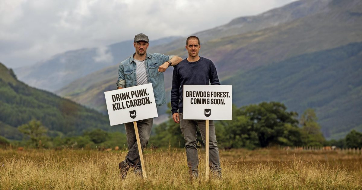 OpenGraph Image for BrewDog sells 9,000-acre Highland ‘Lost Forest’ to conservation group