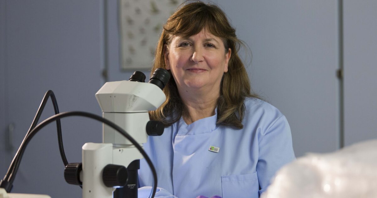 OpenGraph Image for Identifying criminals from a single cell