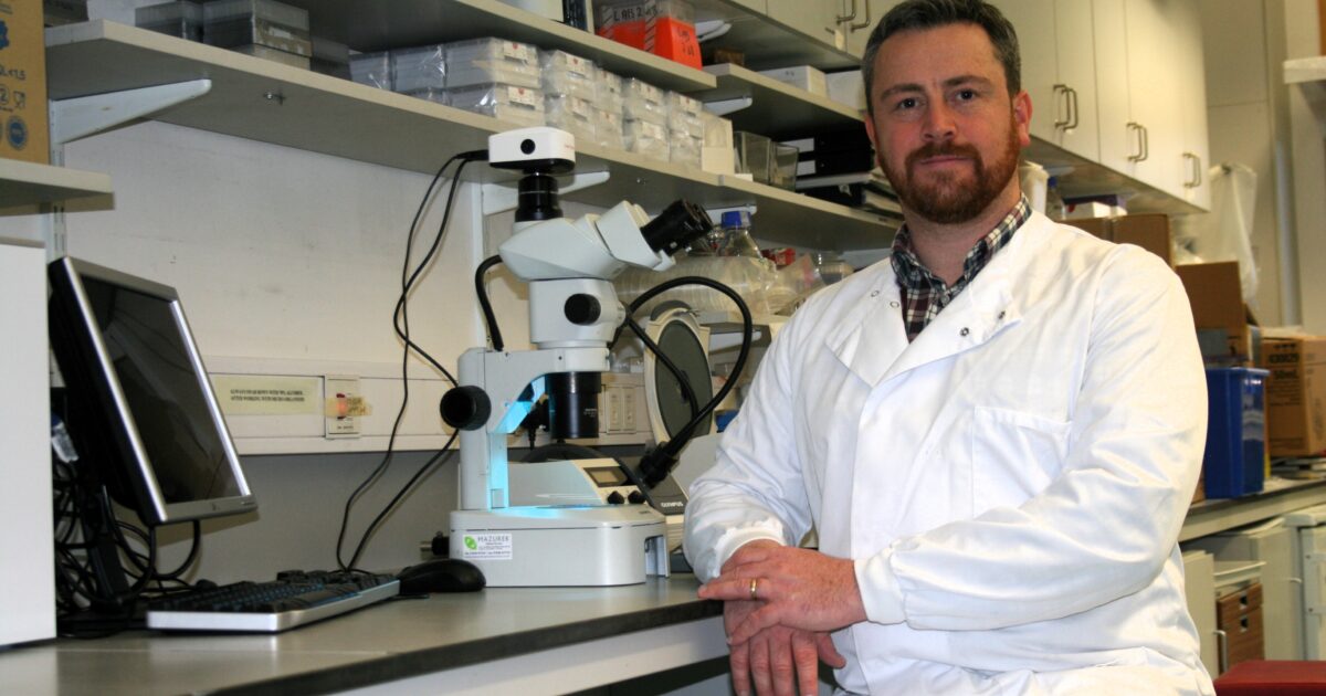 OpenGraph Image for Aberdeen Scientists identify genetic anxiety 'switch'