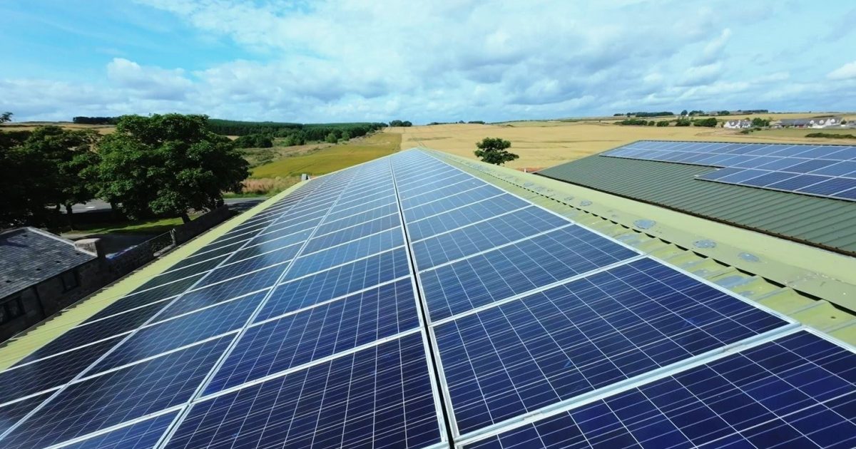 OpenGraph Image for Craig International invests seven-figure sum as part of drive to become a more responsible business