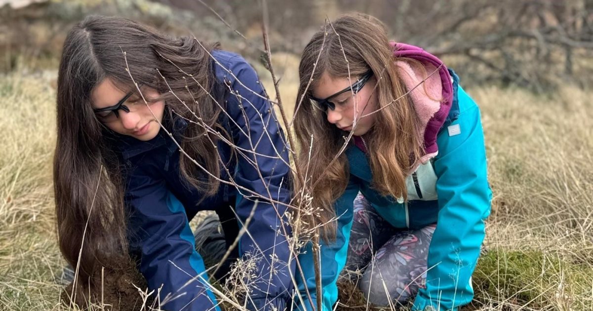 OpenGraph Image for River Dee Trust marks half-million trees milestone with pledge to step up restoration
