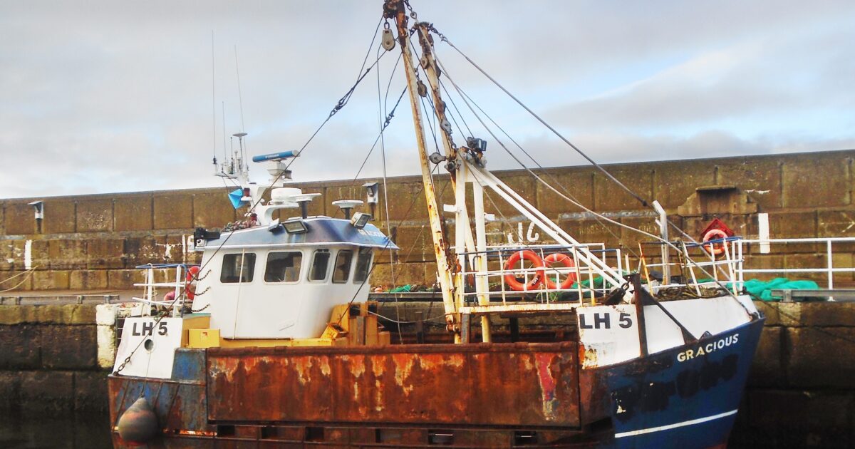 OpenGraph Image for Thainstone based team sail into new markets reaching a global audience