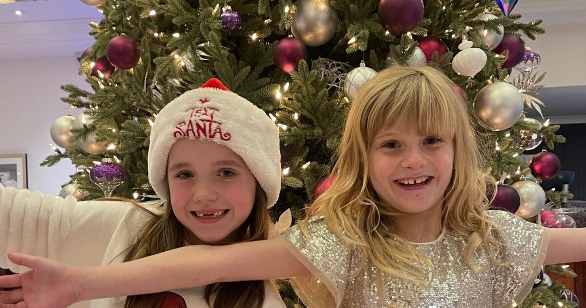 OpenGraph Image for Befriend a Child announces largest amount raised in recent years for its annual Giving Tree Appeal