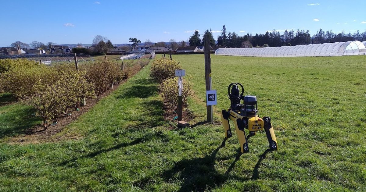 OpenGraph Image for SPOT, the robot dog, demonstrates its skills at The James Hutton Institute