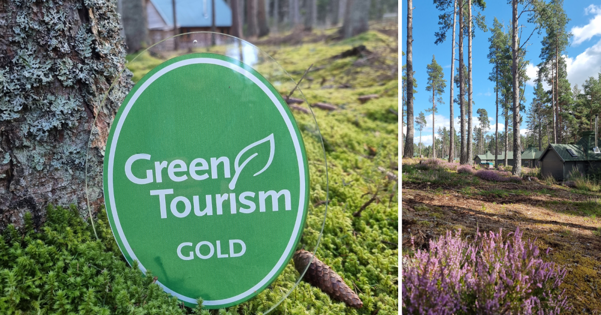 OpenGraph Image for Sister sites Cairngorm Bothies and Cairngorm Lodges celebrate double gold success in green tourism awards