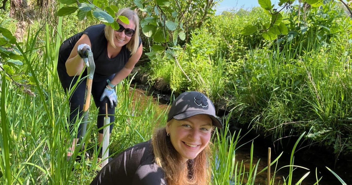 OpenGraph Image for Riverbank restoration receives helping hand from Camphill School Aberdeen