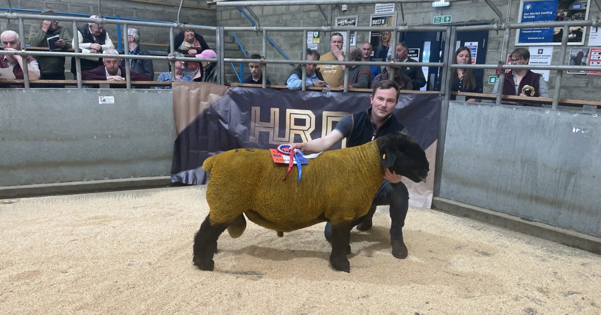 OpenGraph Image for Record entry set for Caithness Ram Fair