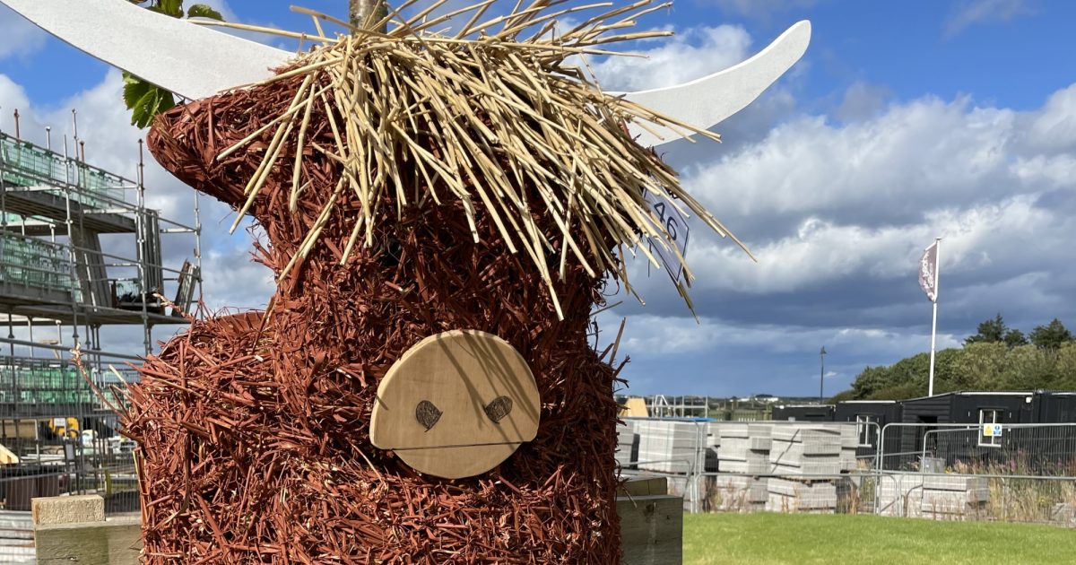 OpenGraph Image for ‘Scottish’ Scarecrows cause a stir at Chapelton
