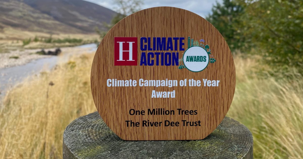 OpenGraph Image for One Million Trees wins national Climate Campaign of the Year Award