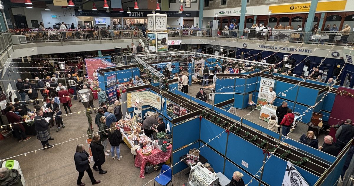 OpenGraph Image for Taste of Christmas draws over 3,700 visitors to Thainstone in Festive First-Year Success