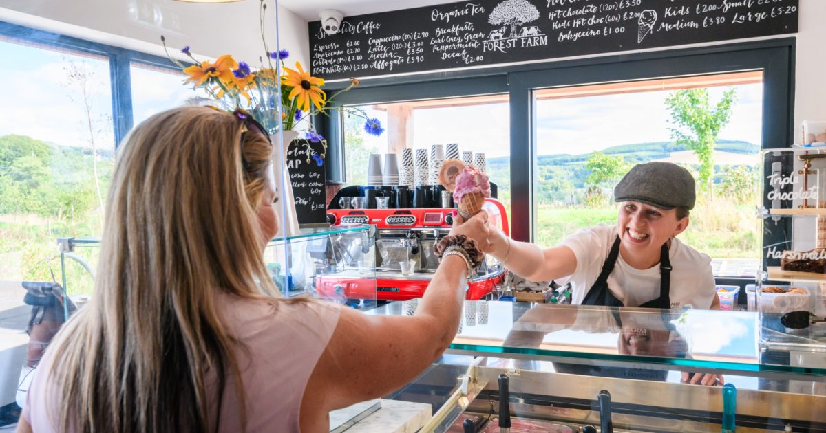 OpenGraph Image for Provenance Festival set to return in September 2024