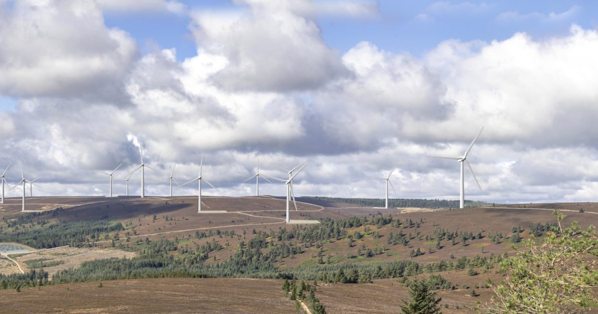 OpenGraph Image for New information bolsters Aberdeenshire Wind Farm proposal