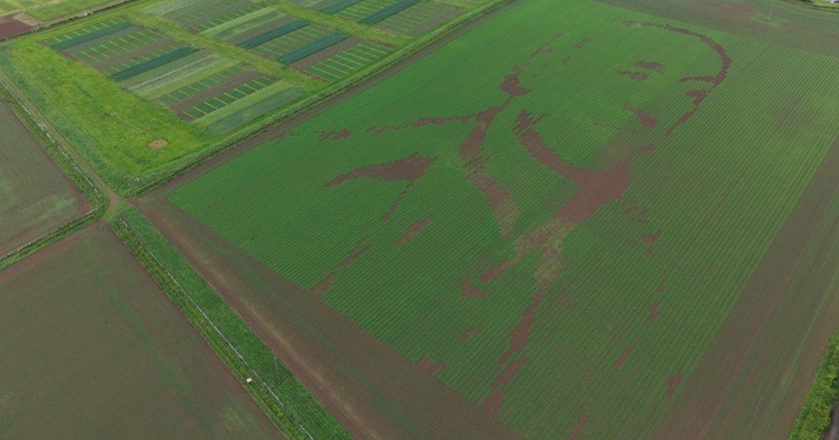 OpenGraph Image for Hutton creates two field-sized portraits to mark tercentenary of namesake’s birth