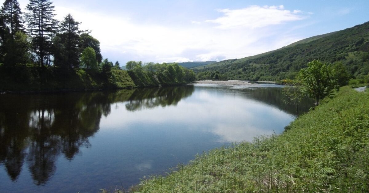 OpenGraph Image for Study raises concerns over rising river temperatures in Scotland