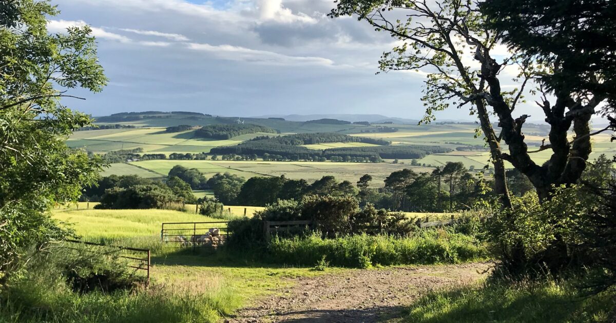 OpenGraph Image for New study to uncover what helps or hinders Scottish rural life