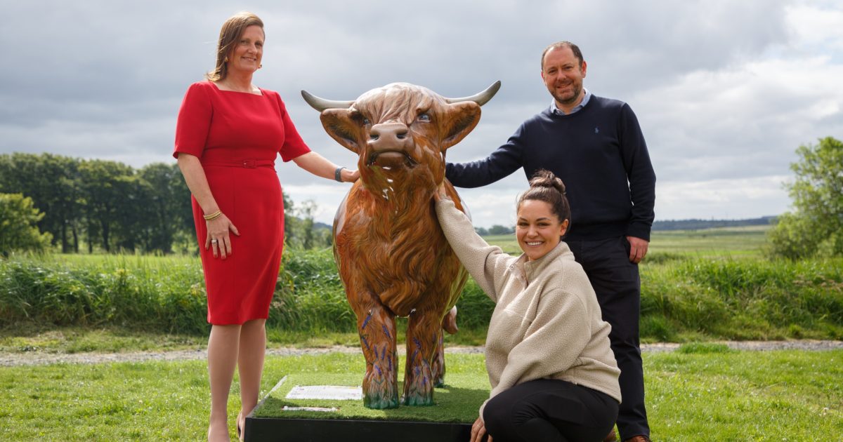 OpenGraph Image for Johnston Carmichael’s Tayside team craft new art partnership