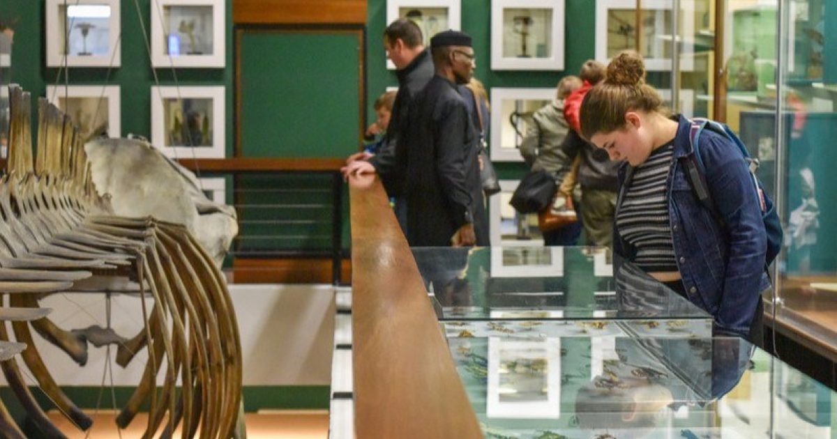 OpenGraph Image for Aberdeen shares in £684k boost for Scotland’s museums to strengthen community ties