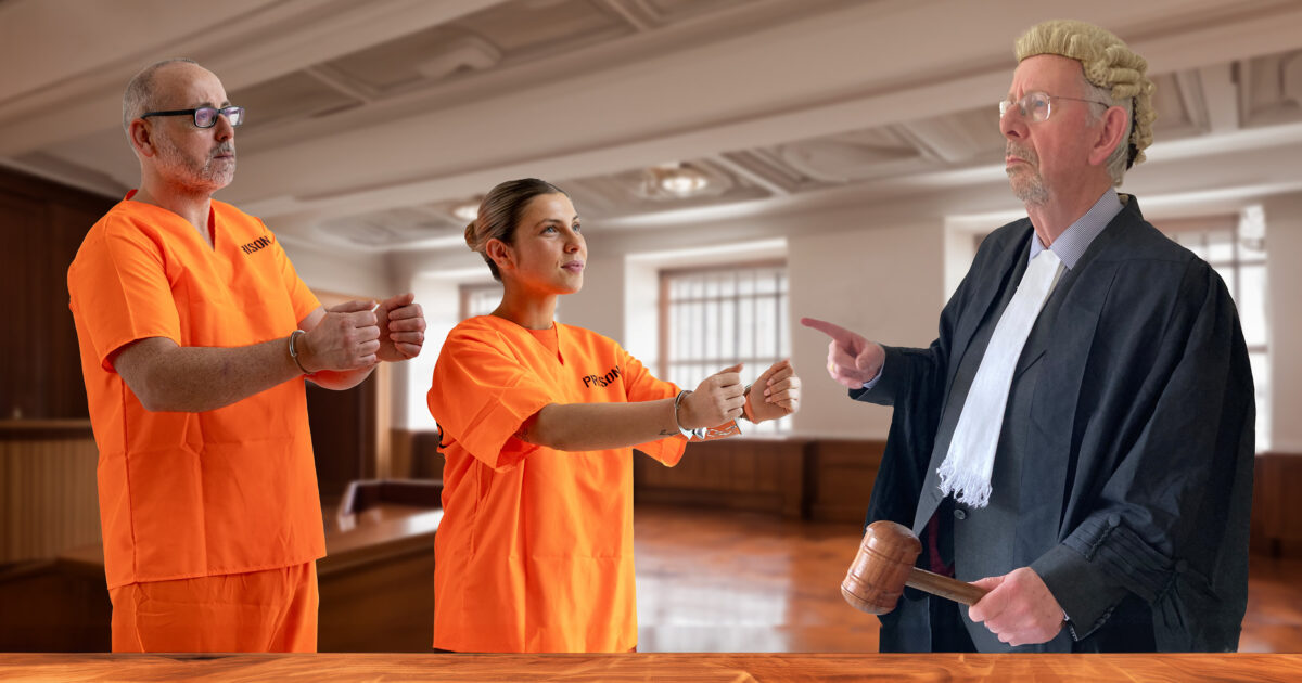 OpenGraph Image for Jail bird business bosses call for help to break free