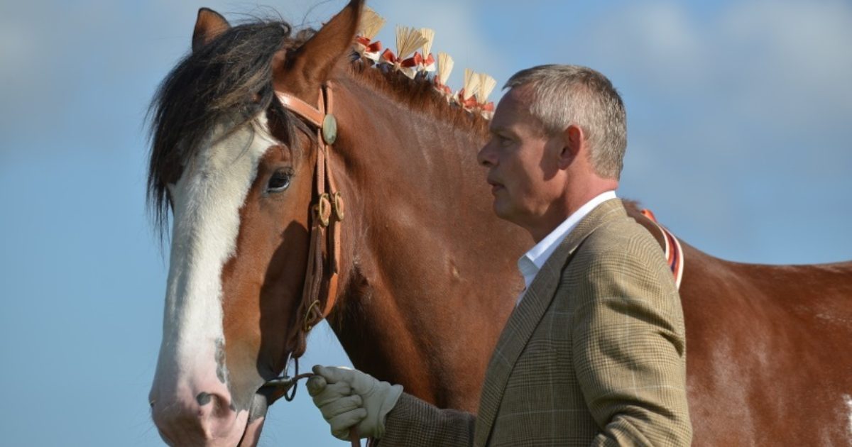 OpenGraph Image for TV star Marin Clunes to join horse show in Aberdeen
