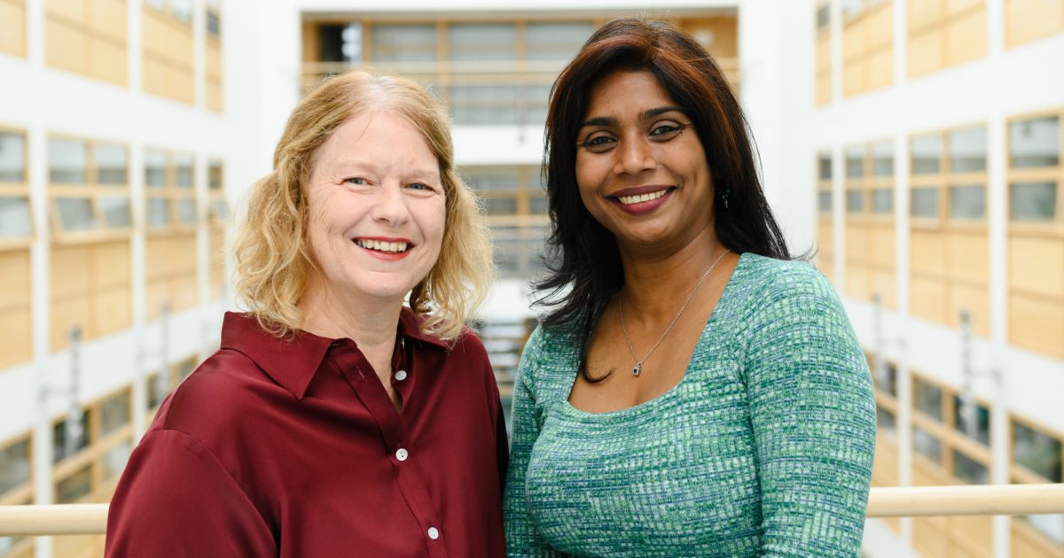 OpenGraph Image for University of Aberdeen launches new spin-out Brigid Bio