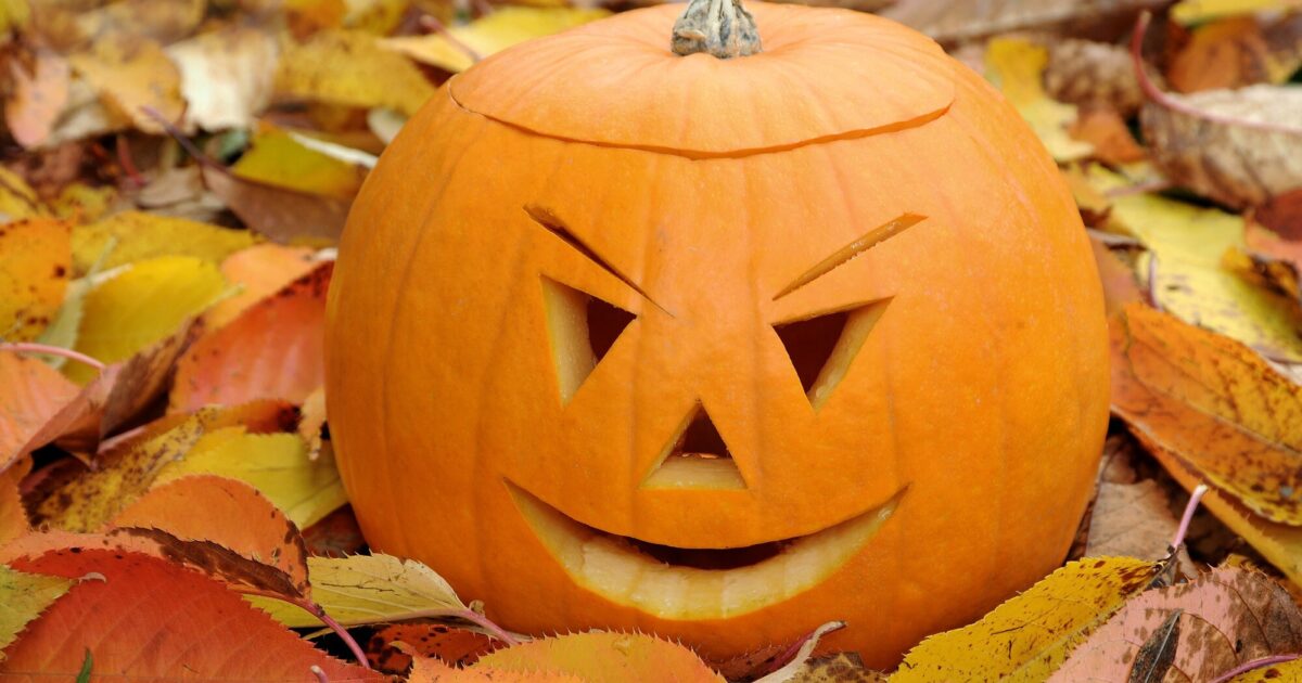 OpenGraph Image for The trick is to turn your pumpkin into a treat