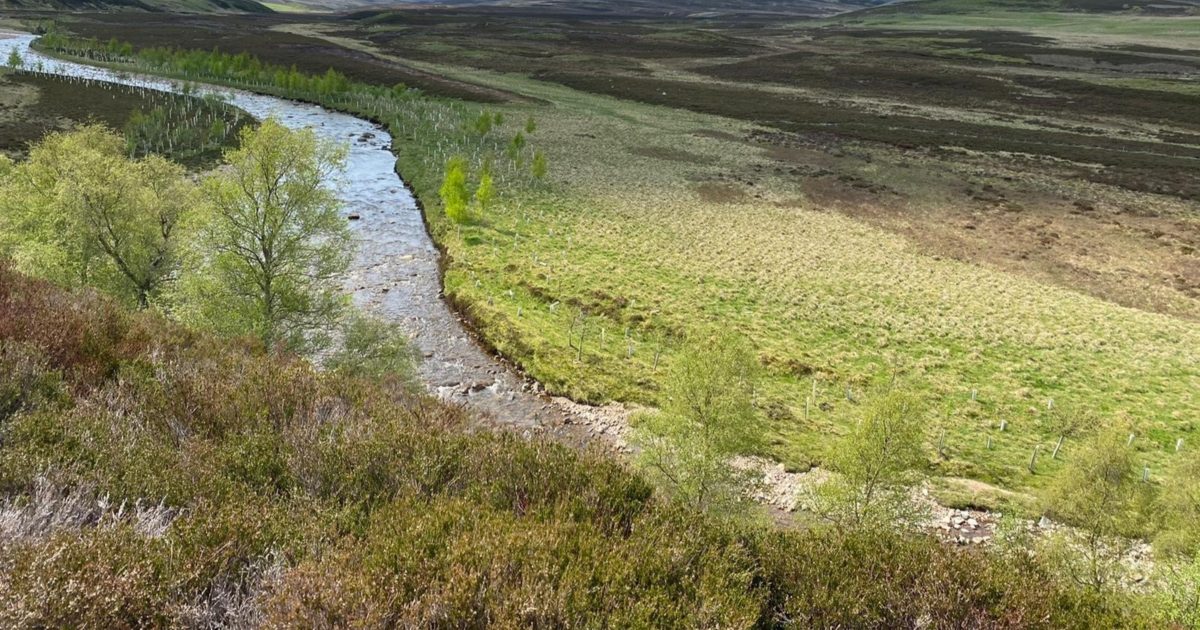 OpenGraph Image for Record high water temps in May endangering wildlife