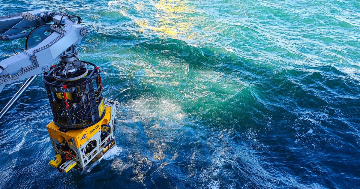 OpenGraph Image for Rovco joins the Offshore Wind O&M Partnership to bolster service offer