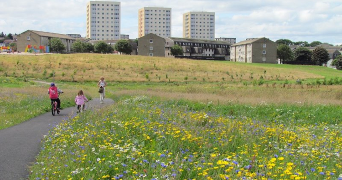 OpenGraph Image for Public invited to uncover the secrets of St Fittick’s Park at Nature Open Day