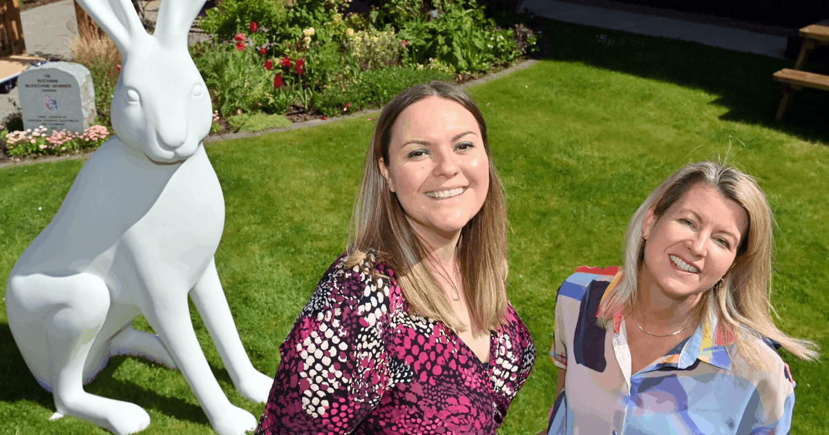 OpenGraph Image for Scottish cancer charity launches second art sculpture trail