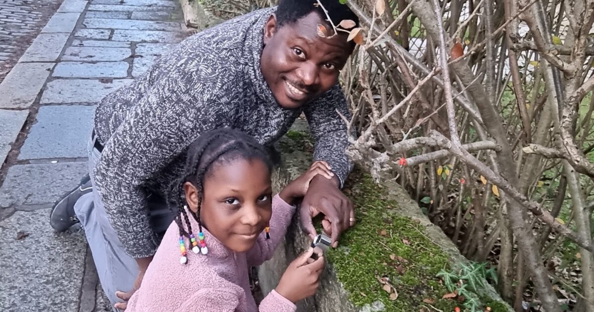 OpenGraph Image for Study shows moss could have starring role in pollution monitoring