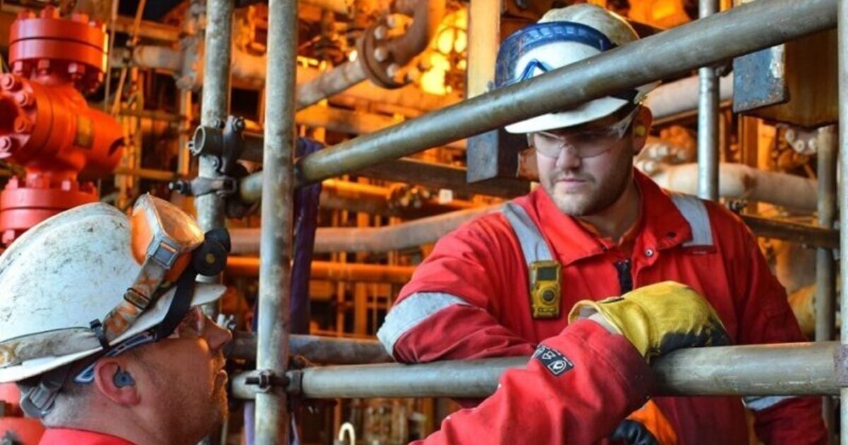 OpenGraph Image for Torus BGP: A pioneering two-year paradigm in offshore asset management