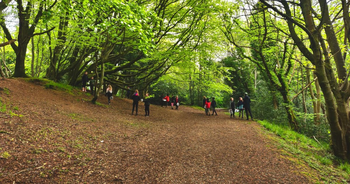 OpenGraph Image for Researchers discover the value of learning with trees and woods