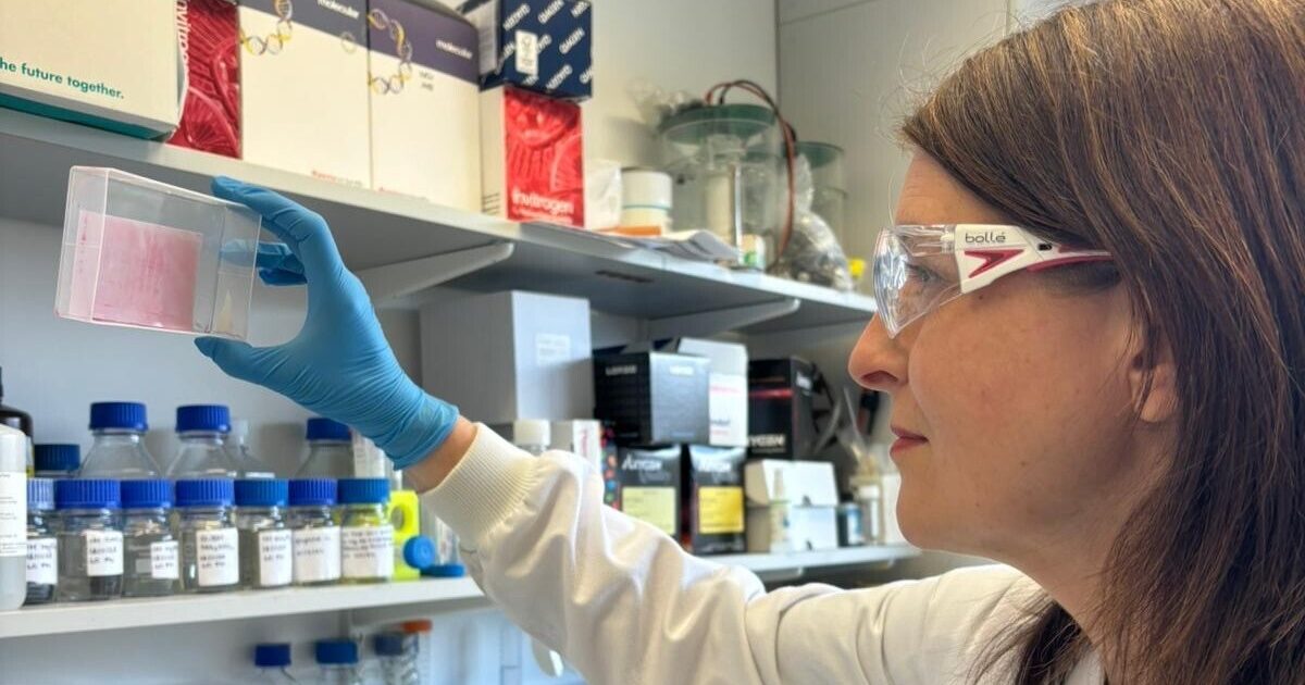 OpenGraph Image for Important breakthrough in treating liver disease