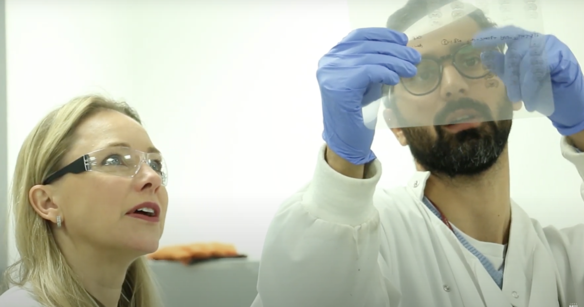 OpenGraph Image for New brain discovery could help in the fight against obesity