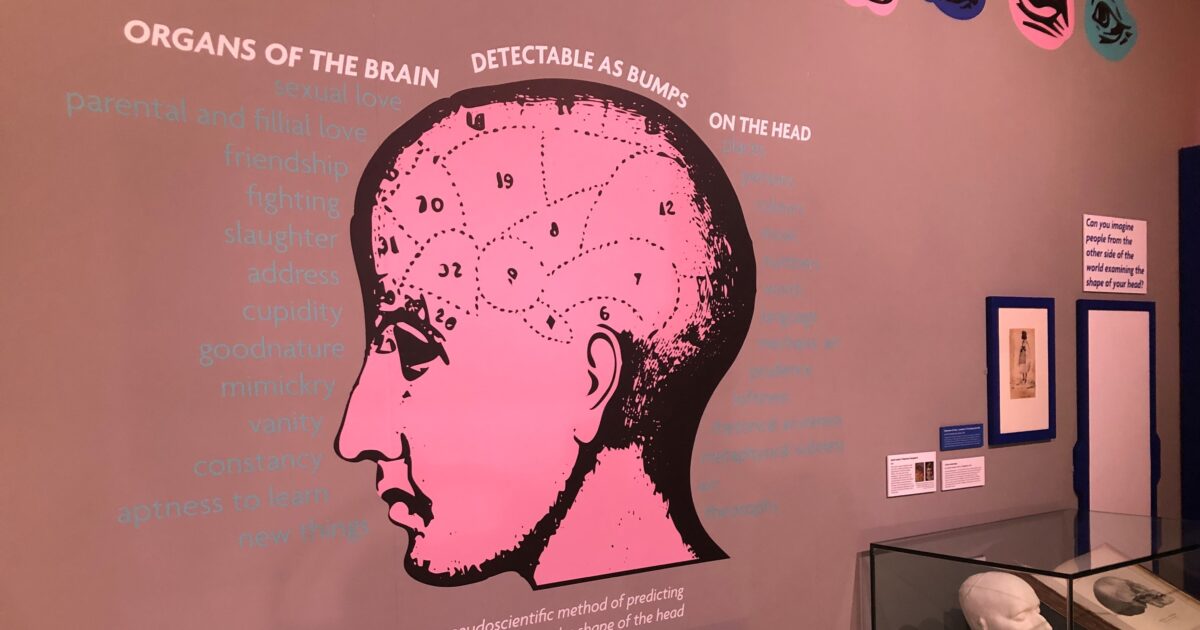 OpenGraph Image for Visitors invited to face facts at striking new exhibition