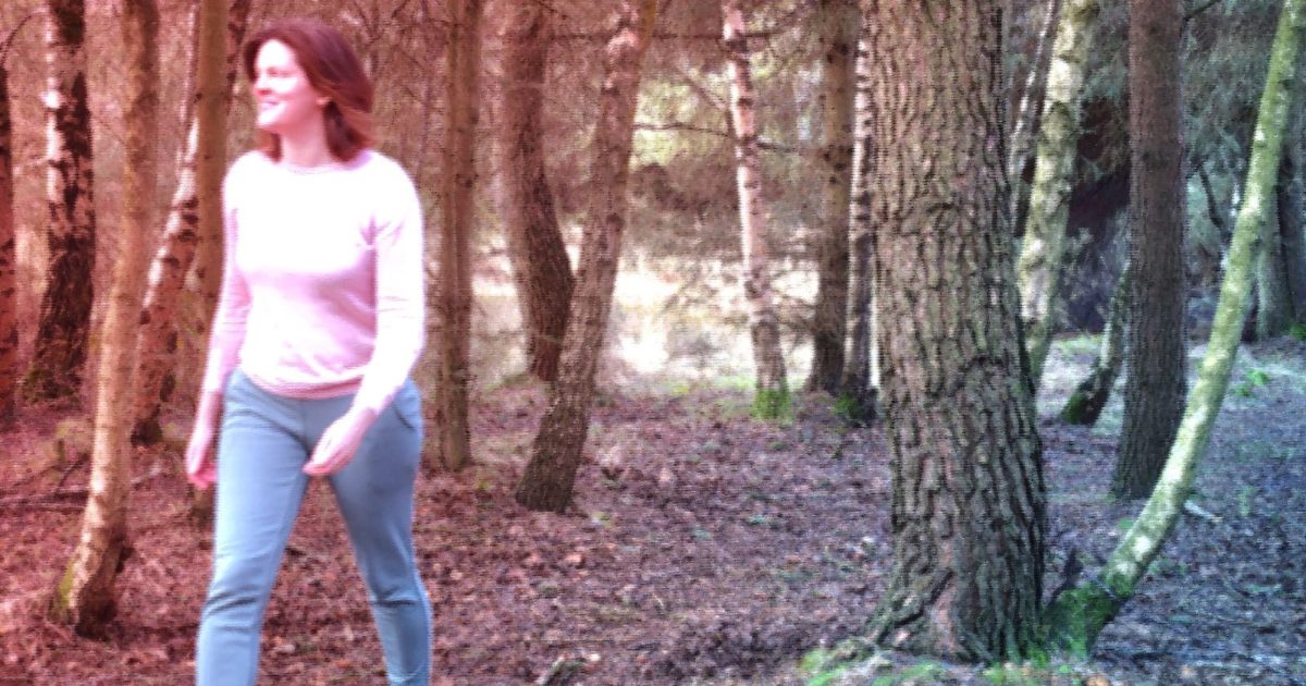 OpenGraph Image for Weirwood Consulting launch new client ‘MOT service’