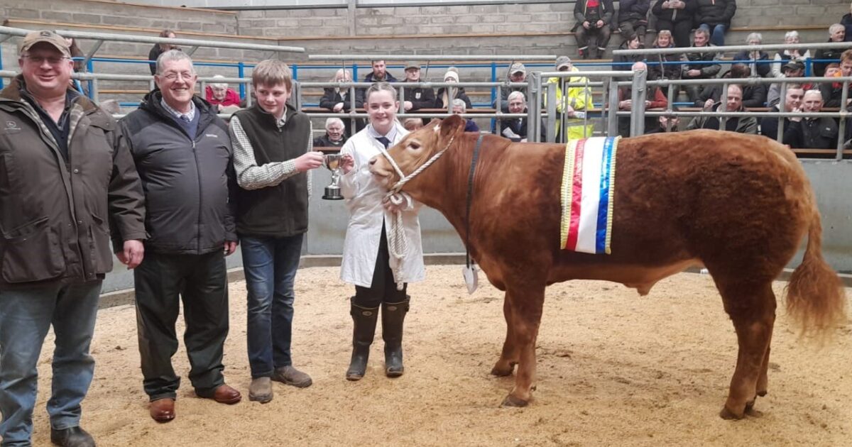 OpenGraph Image for Entries announced ahead of annual Young Farmers Overwintering competition at Quoybrae