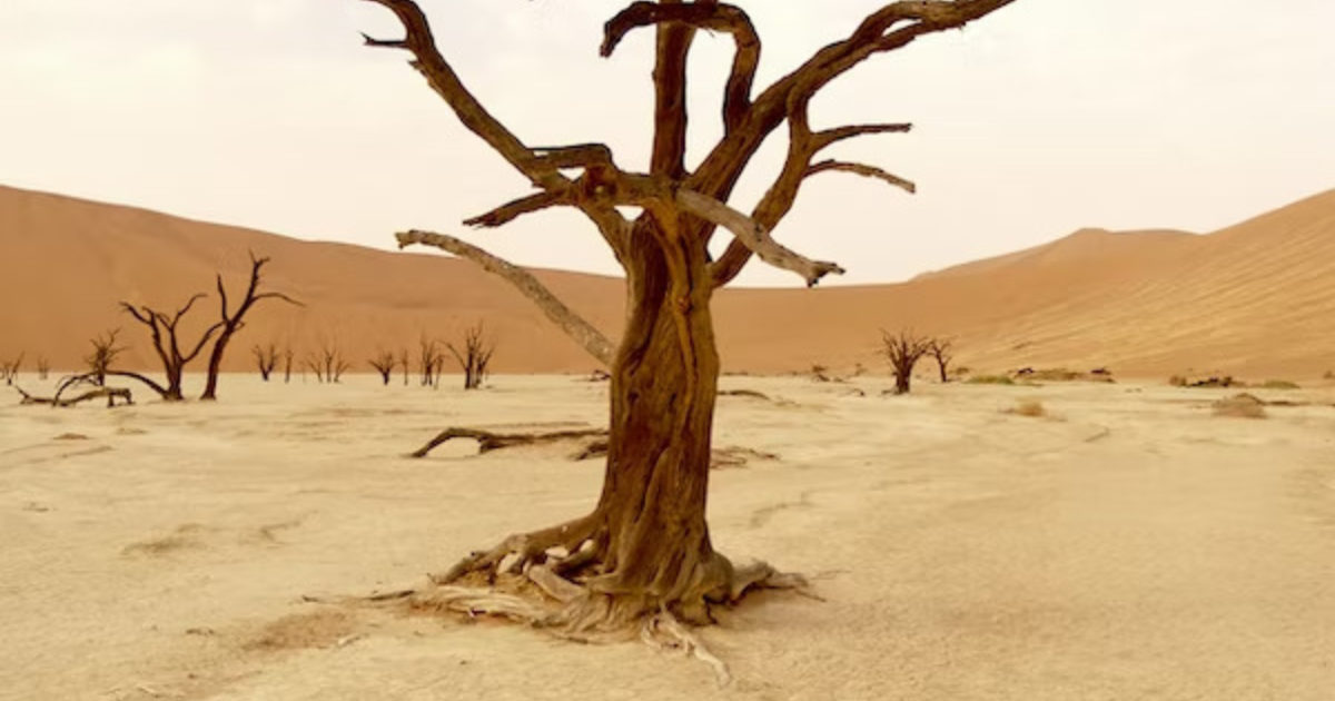OpenGraph Image for Johnson could force Sunak into U-turn over climate event
