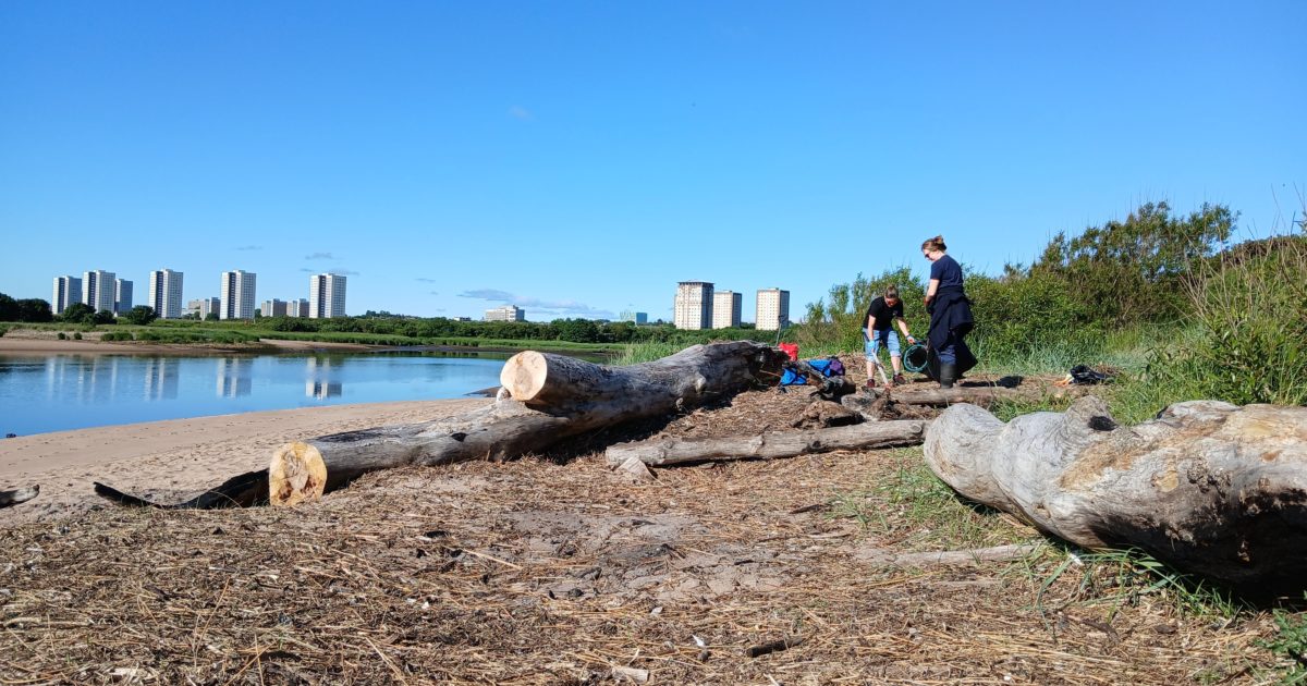 OpenGraph Image for Hundreds of black bags collected in 24-hour litter pick including in Aberdeen, USA