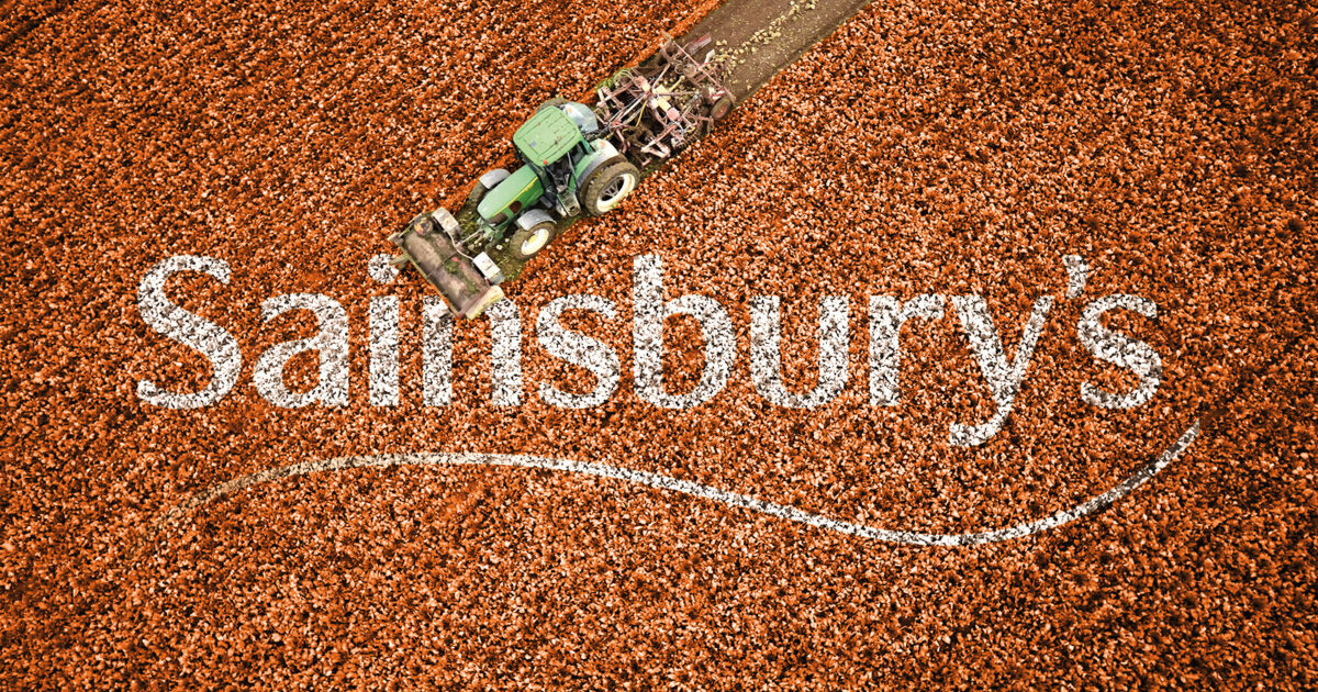 OpenGraph Image for Sainsbury's boss warns green drive is 'threat' to UK farming
