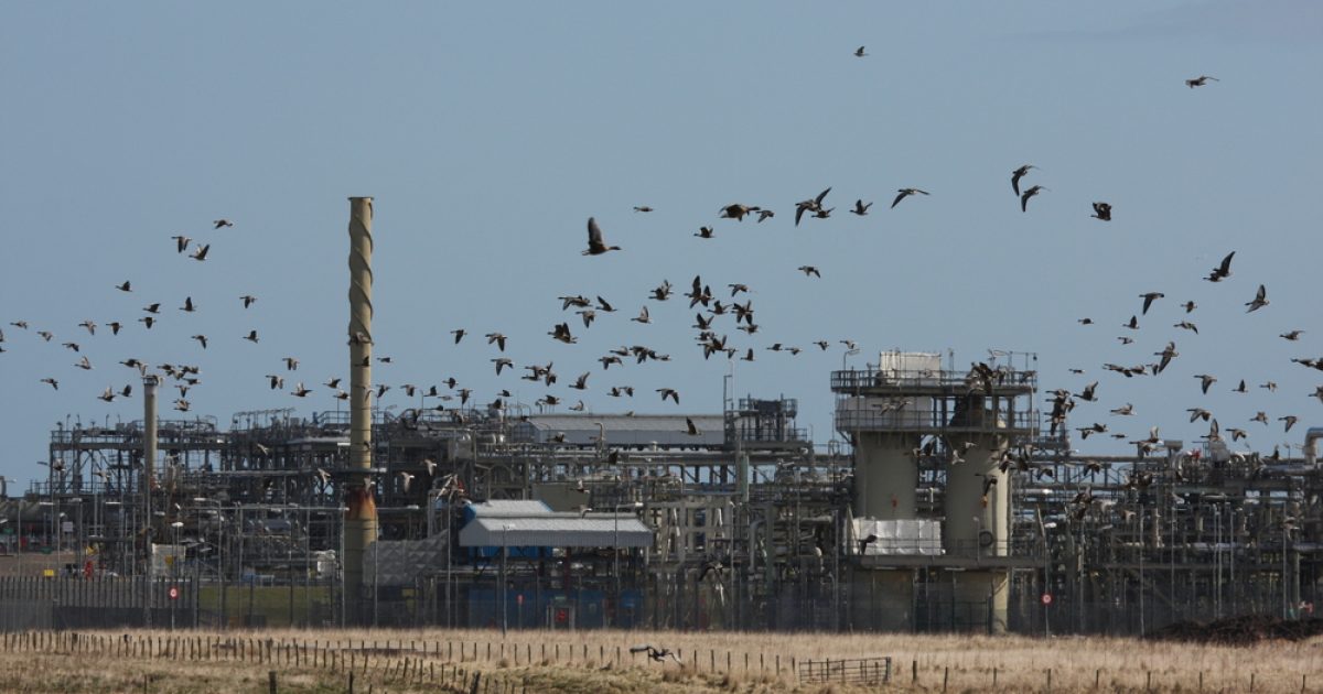 OpenGraph Image for ‘Scotland must not be left behind’: business leaders unite behind Acorn