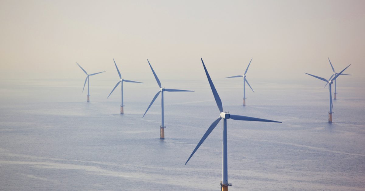 OpenGraph Image for 'It's time to be honest about net zero cost' says economist