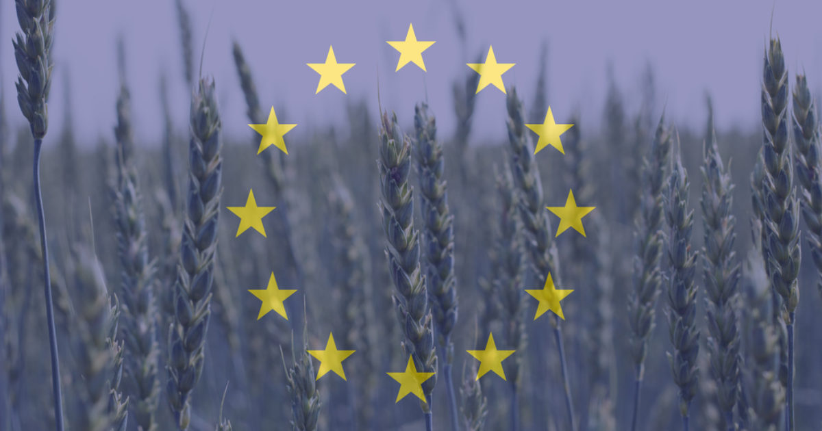 OpenGraph Image for Delay to more UK checks on EU goods