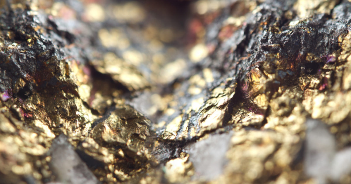 OpenGraph Image for Wood strikes gold with new $18million contract