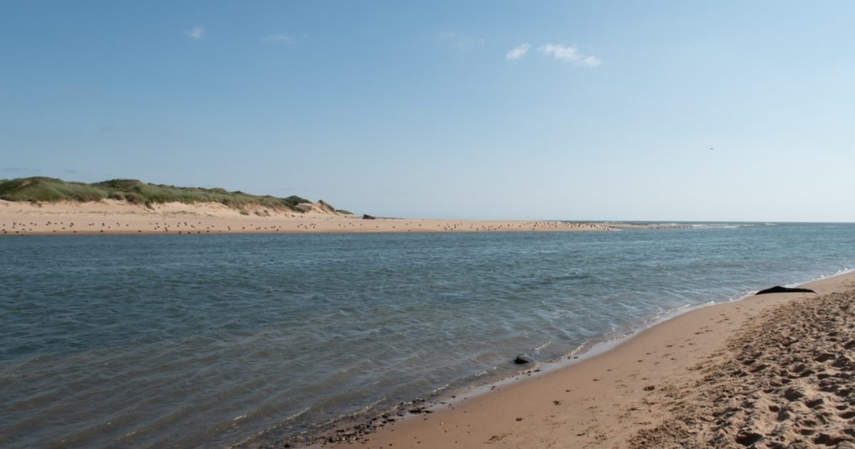 OpenGraph Image for Sepa warns 'significant' water scarcity set to hit River Ythan