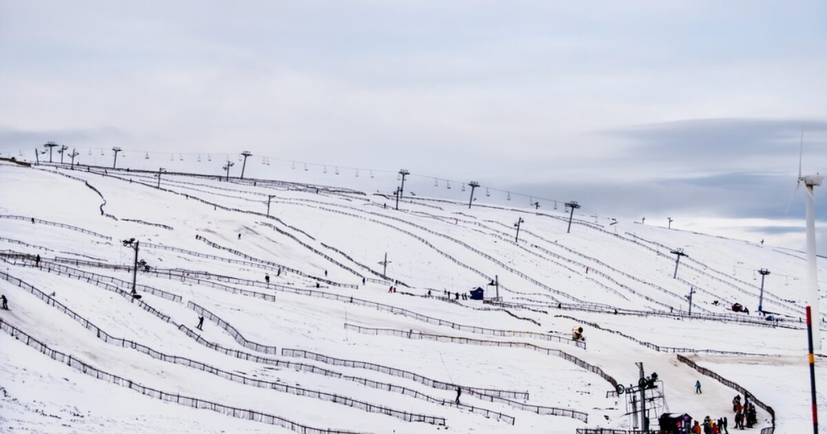 OpenGraph Image for The Lecht appeals for public help to survive 'dire season'