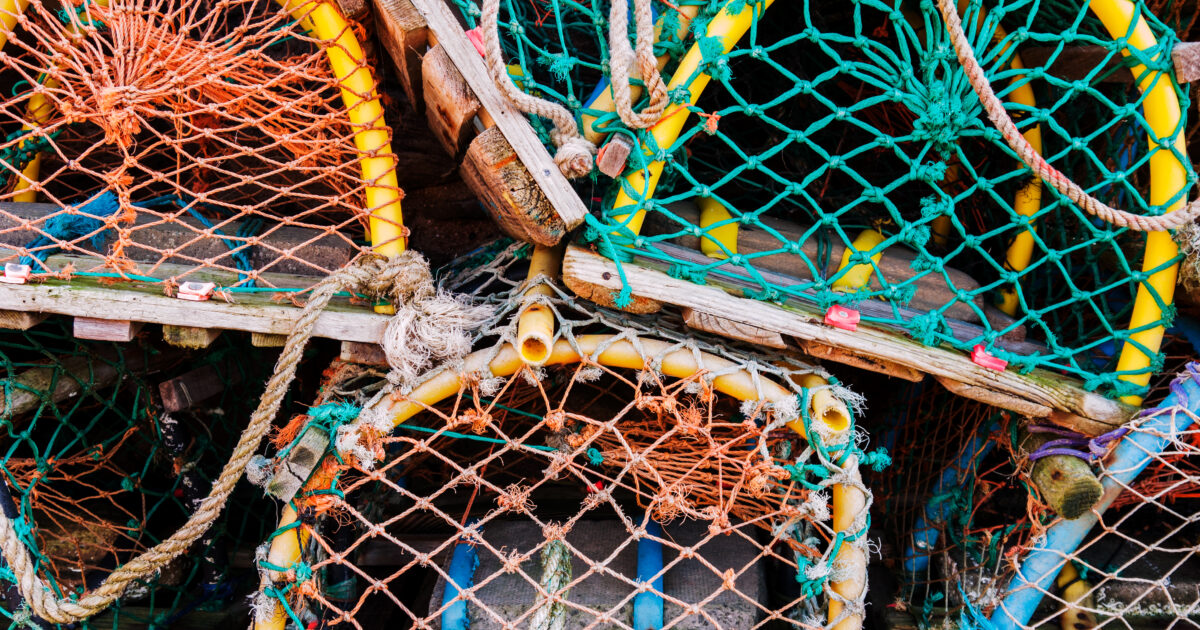 OpenGraph Image for Get hooked on fish at fin-tastic free event