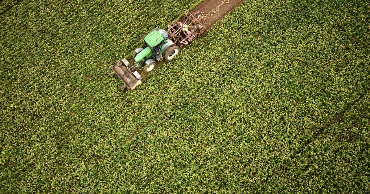 OpenGraph Image for Farmers face £70k losses as Iran conflict drives up costs