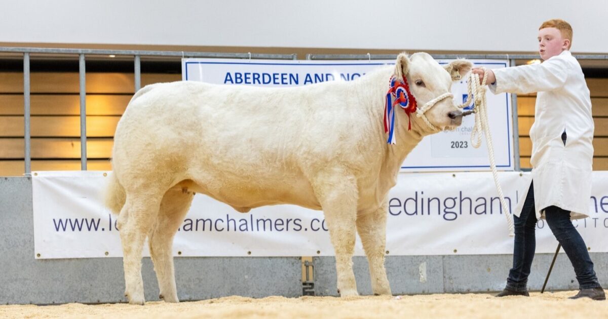 OpenGraph Image for Young Farmers gear up for overwintering competition at Thainstone Centre